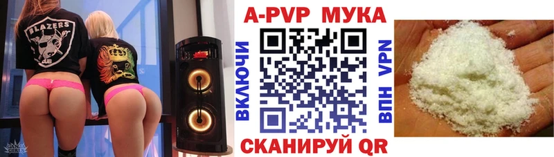 Альфа ПВП СК  hydra маркетплейс  Калининград 