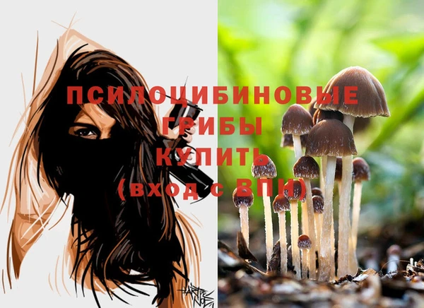 mdma Новозыбков