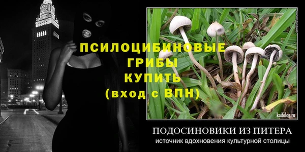 mdma Новозыбков