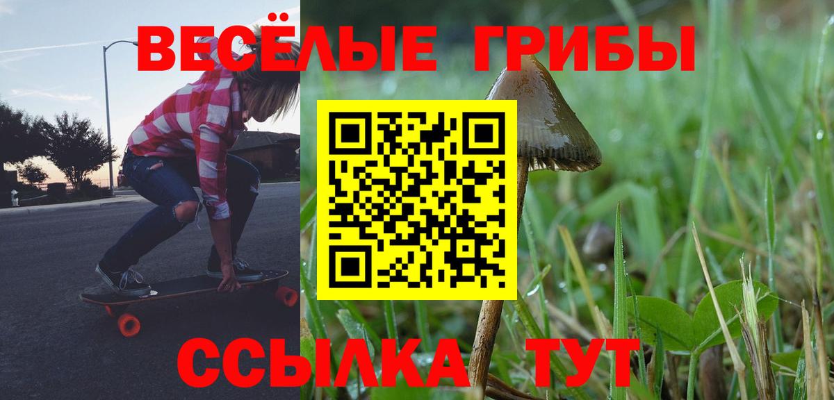 Псилоцибиновые грибы мицелий Калининград