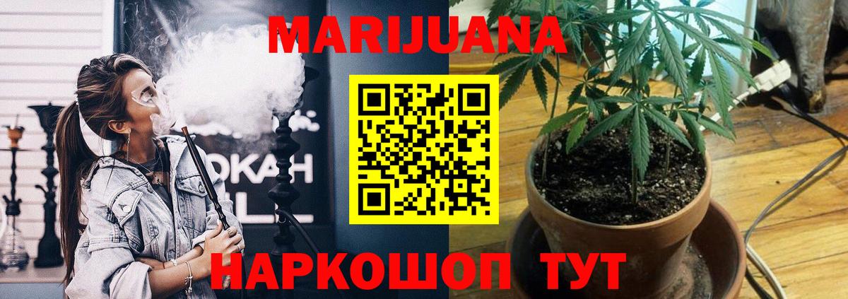 Бошки Шишки THC 21%  Калининград  Конопля сатива 
